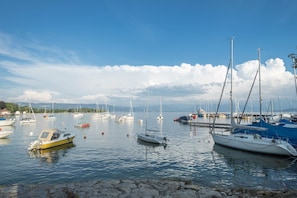 A marina with various boats docked.