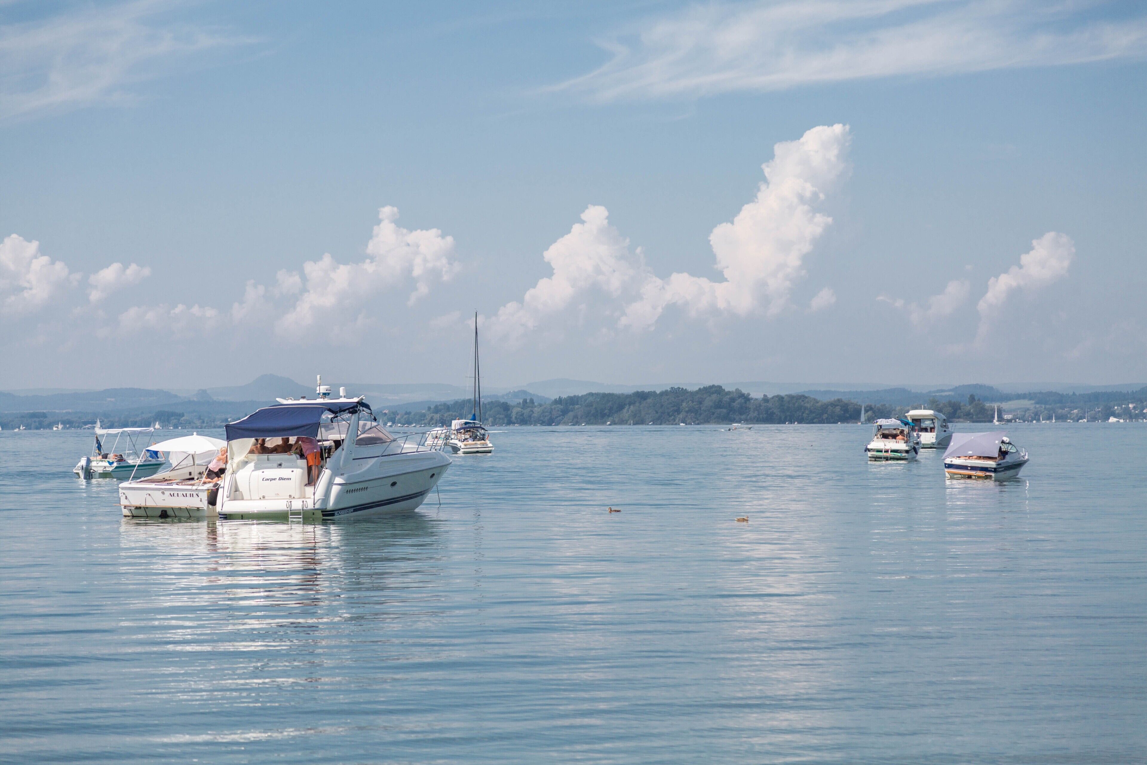 A marina with several boats docked, calm water, and a distant shoreline with trees.