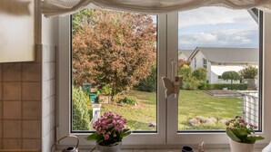 A window with a view of a garden and houses, a potted plant on the windowsill, and a butterfly decoration.