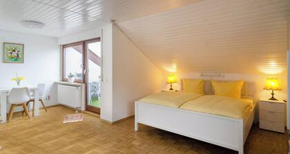 Cosy holiday apartment "Maria Feucht" near Lake Constance with lake view