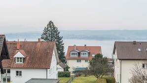 A residential area with houses, a clear view of a lake, and a distant mountain range.