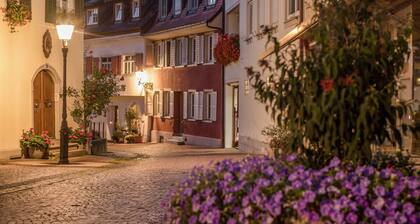 Außergewöhnliche Ferienwohnung "Ferienwohnung Lemkamp" am Bodensee