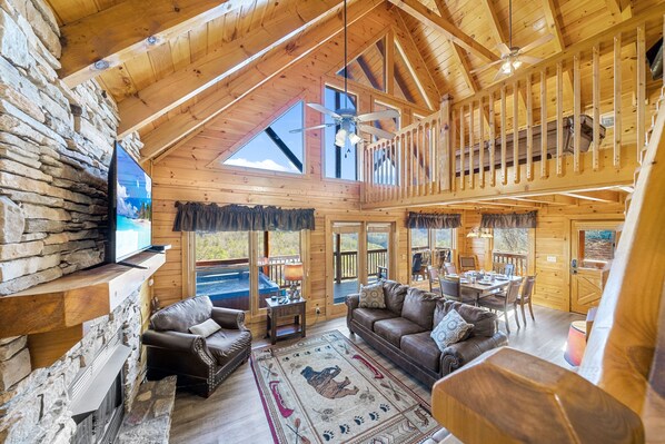 Televisión, chimenea, videojuegos y reproductor de DVD