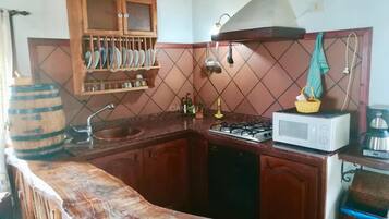 Fridge, microwave, oven, coffee/tea maker