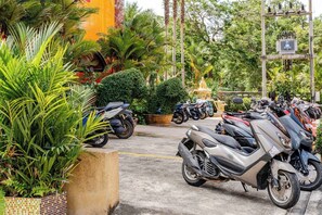 1 Bedroom Mountian View | Parking
