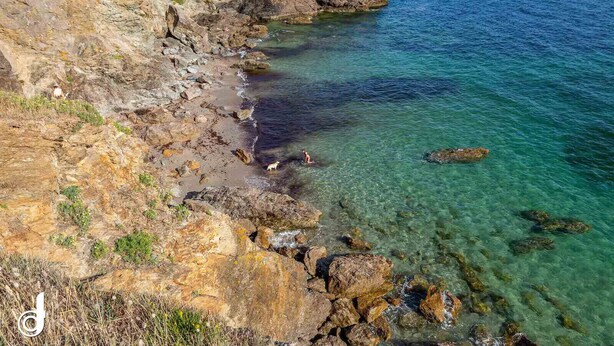 A rocky coastline with clear water, a person standing on the rocks, and a dog nearby. - Vacations for 6 around the Gulf (Saint-Gildas-de-Rhuys)