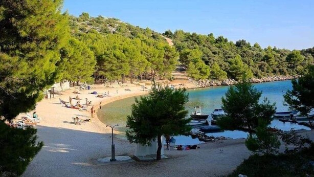 Une plage avec des bateaux, un ciel dégagé et des arbres.