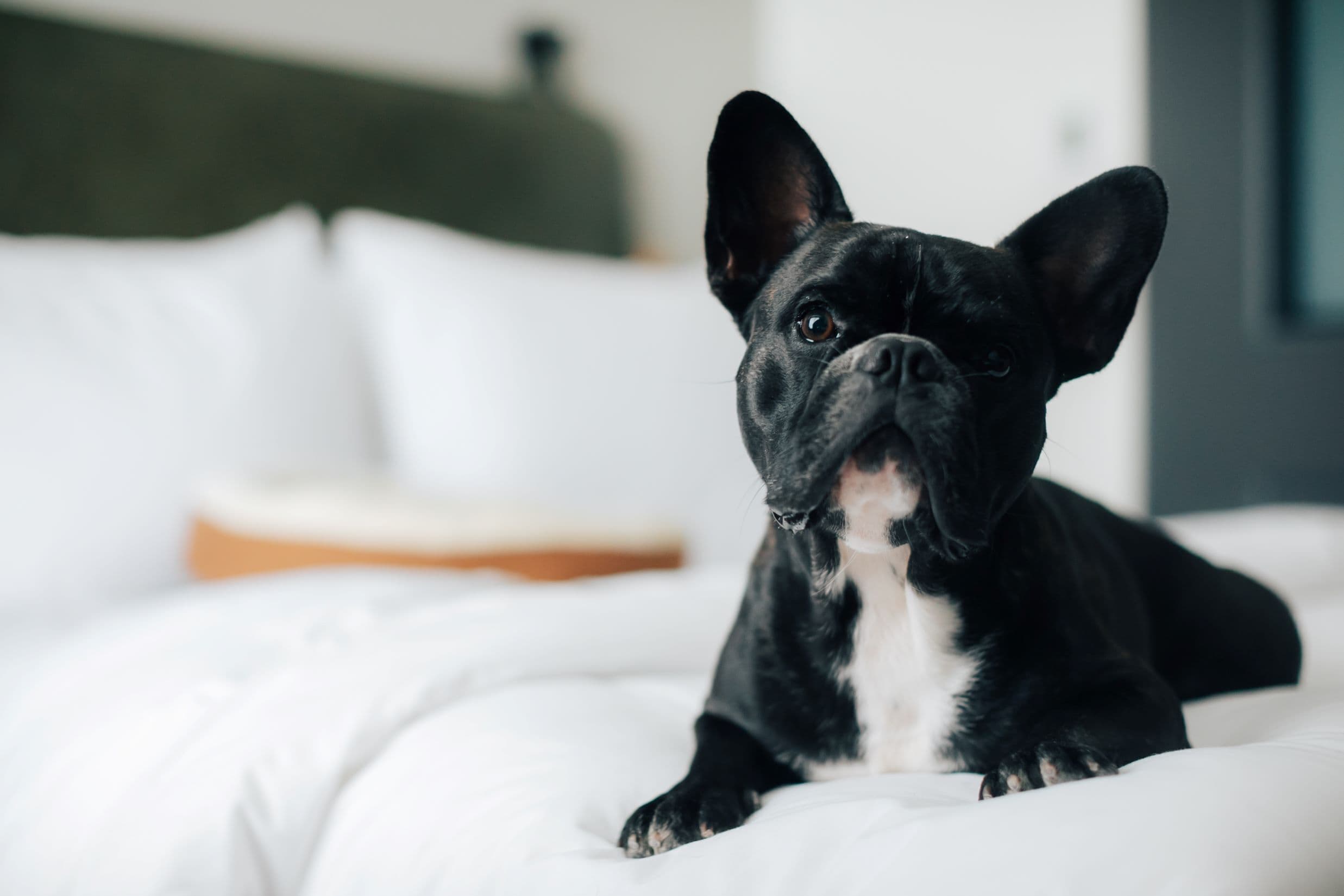 Foto - Moxy Osaka Umeda