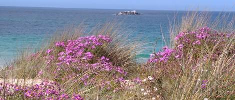 Plage