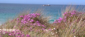 Beaches 5 minutes away, near historic center, enclosed garden, house sleeps 4-5