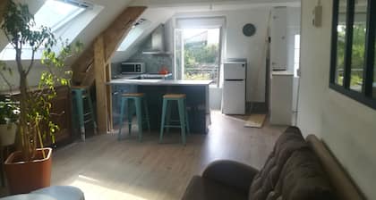 Charming house overlooking the Loire