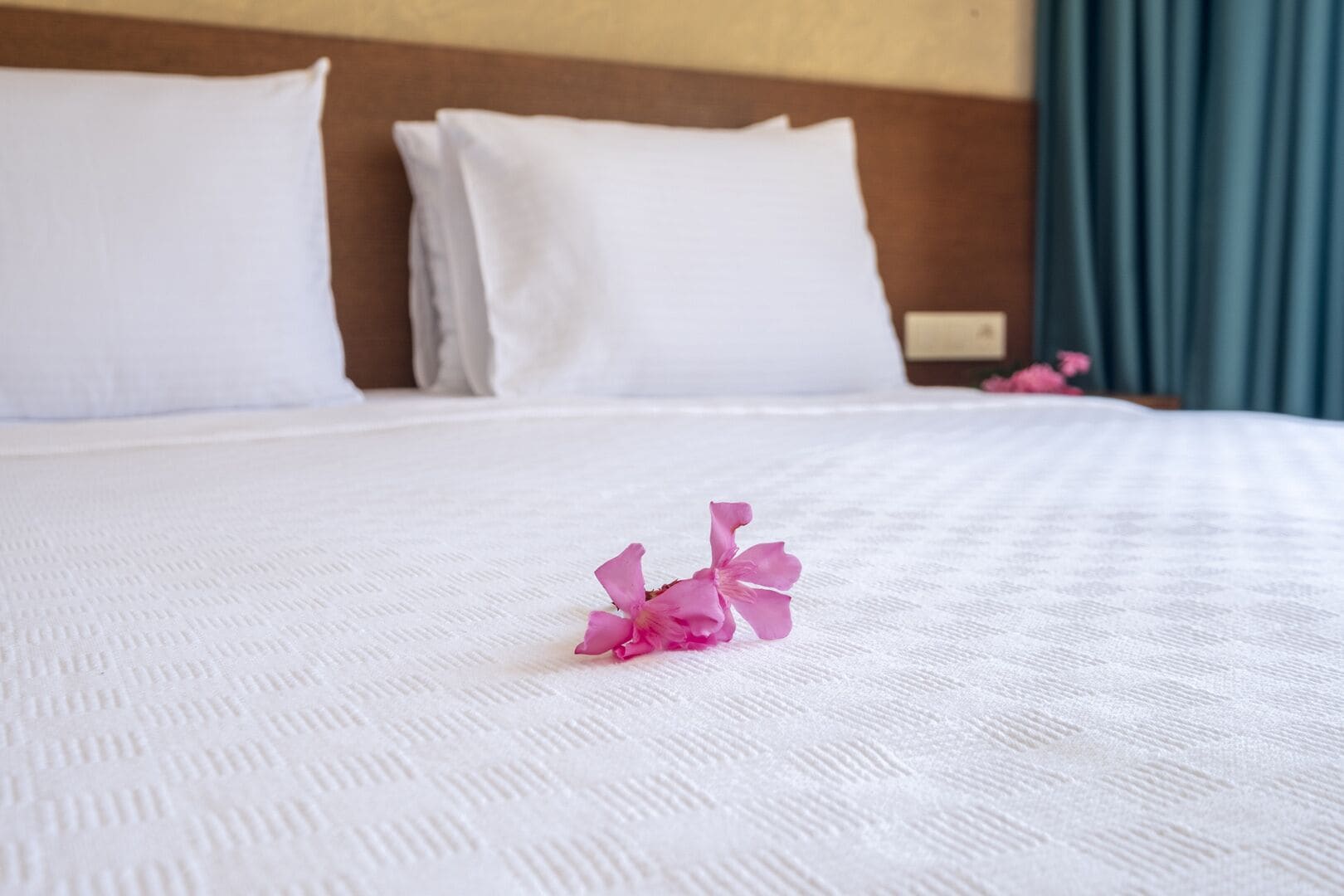 Ein ordentlich gemachtes Bett mit weißer Bettdecke und Kissen, eine einzelne rosa Blume auf dem Bett und ein blauer Vorhang im Hintergrund.