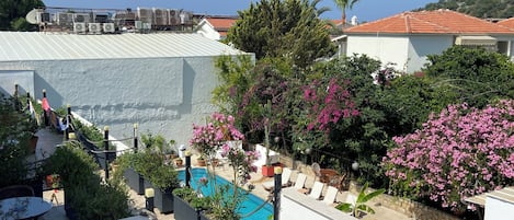 Deluxe Room, Pool View | Garden view