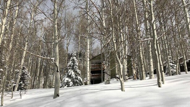 Paesaggio innevato con alberi spogli e un edificio sullo sfondo.