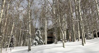 CHARMING MOUNTAIN HOME - W/ HOT TUB - VIEWS OF SOLITUDE RESORT