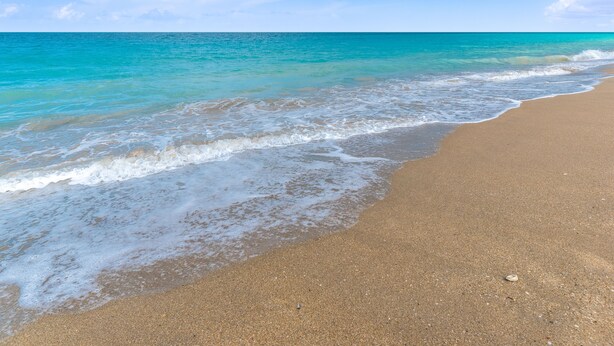A beach with clear turquoise water and a sandy shore.