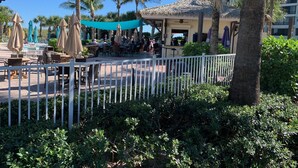 An outdoor dining area with tables and chairs, surrounded by palm trees and a thatched-roof structure.