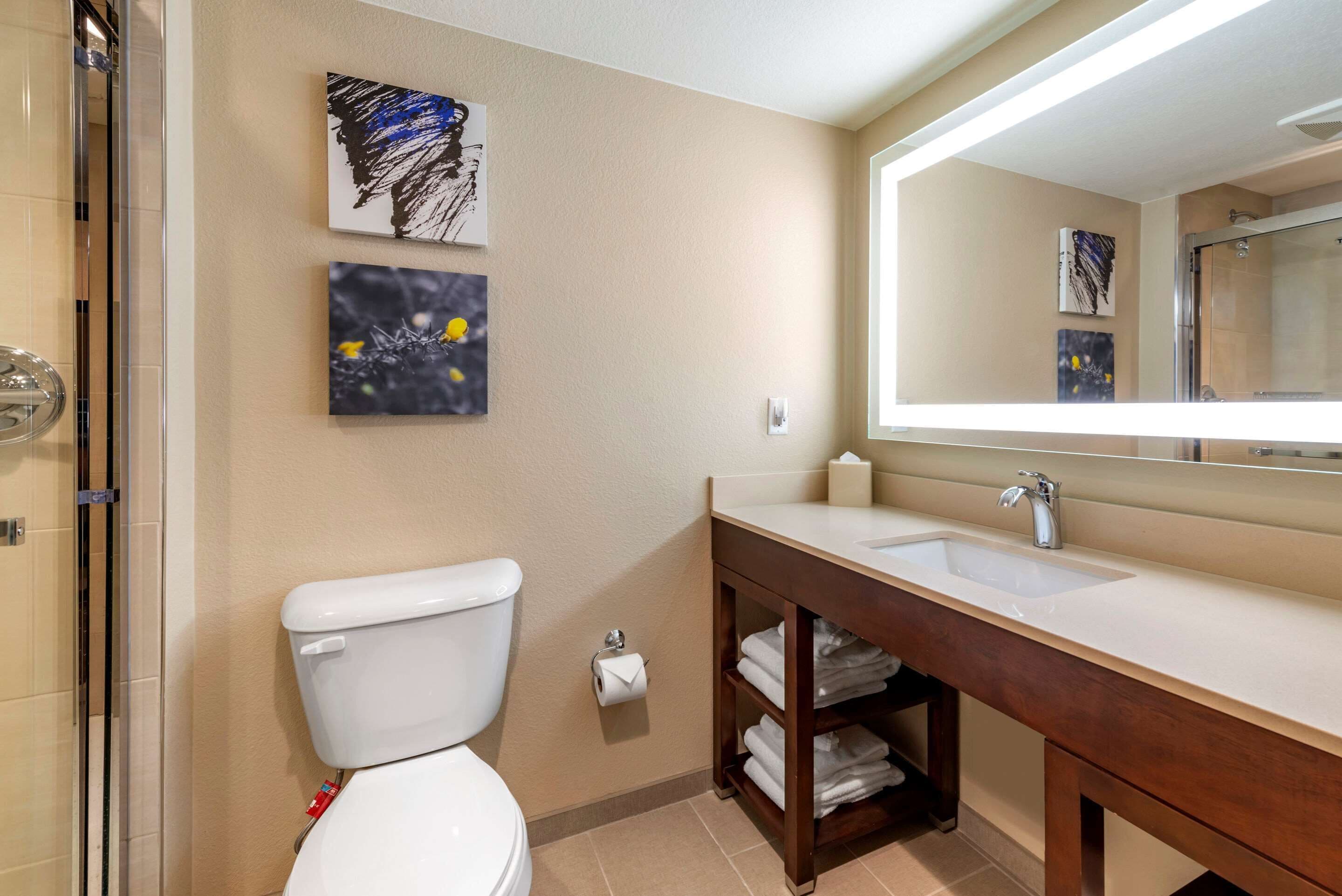 free toiletries, hair dryer, towels