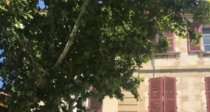 Logement entiĂšrement Ă©quipĂ© de 54 mÂČ