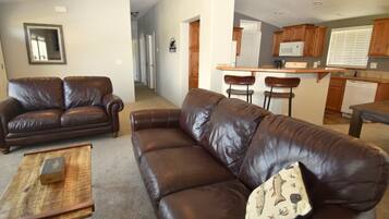 TV connectée, cheminée, lecteur de DVD, livres