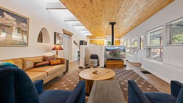 TV, fireplace, Netflix, streaming services