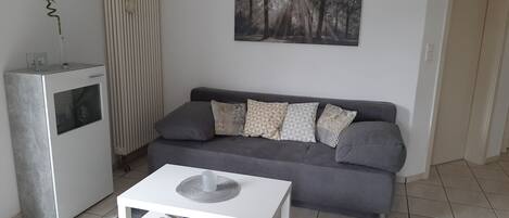 Televisión y libros