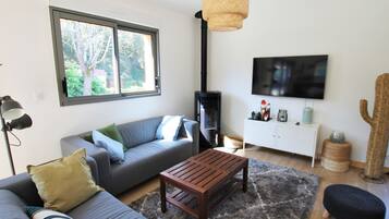 Télévision, lecteur de DVD, livres