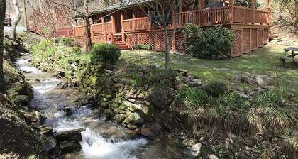 Deep in the mountains, where Black Bear once roamed abundantly