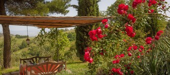 Apartment "Lo Zoppo" with horses and swimming pool