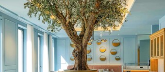 Mercure Porto Centro Aliados