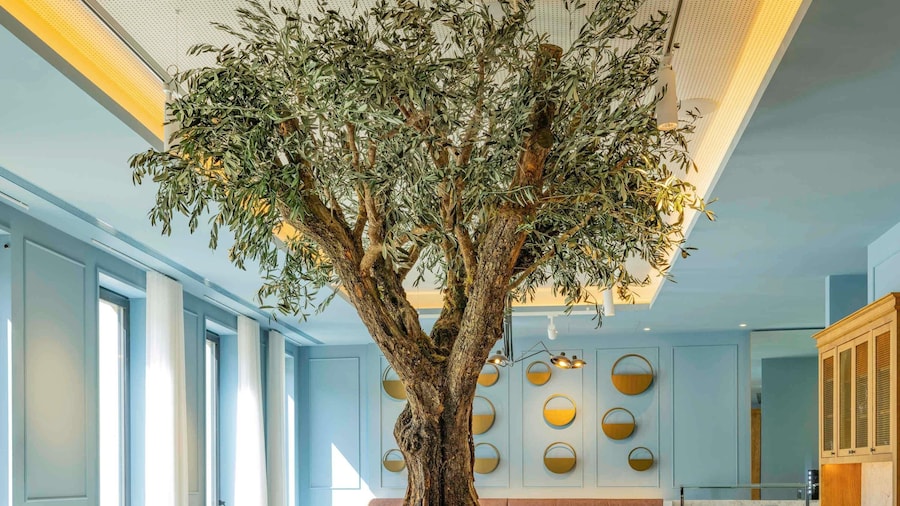 Mercure Porto Centro Aliados