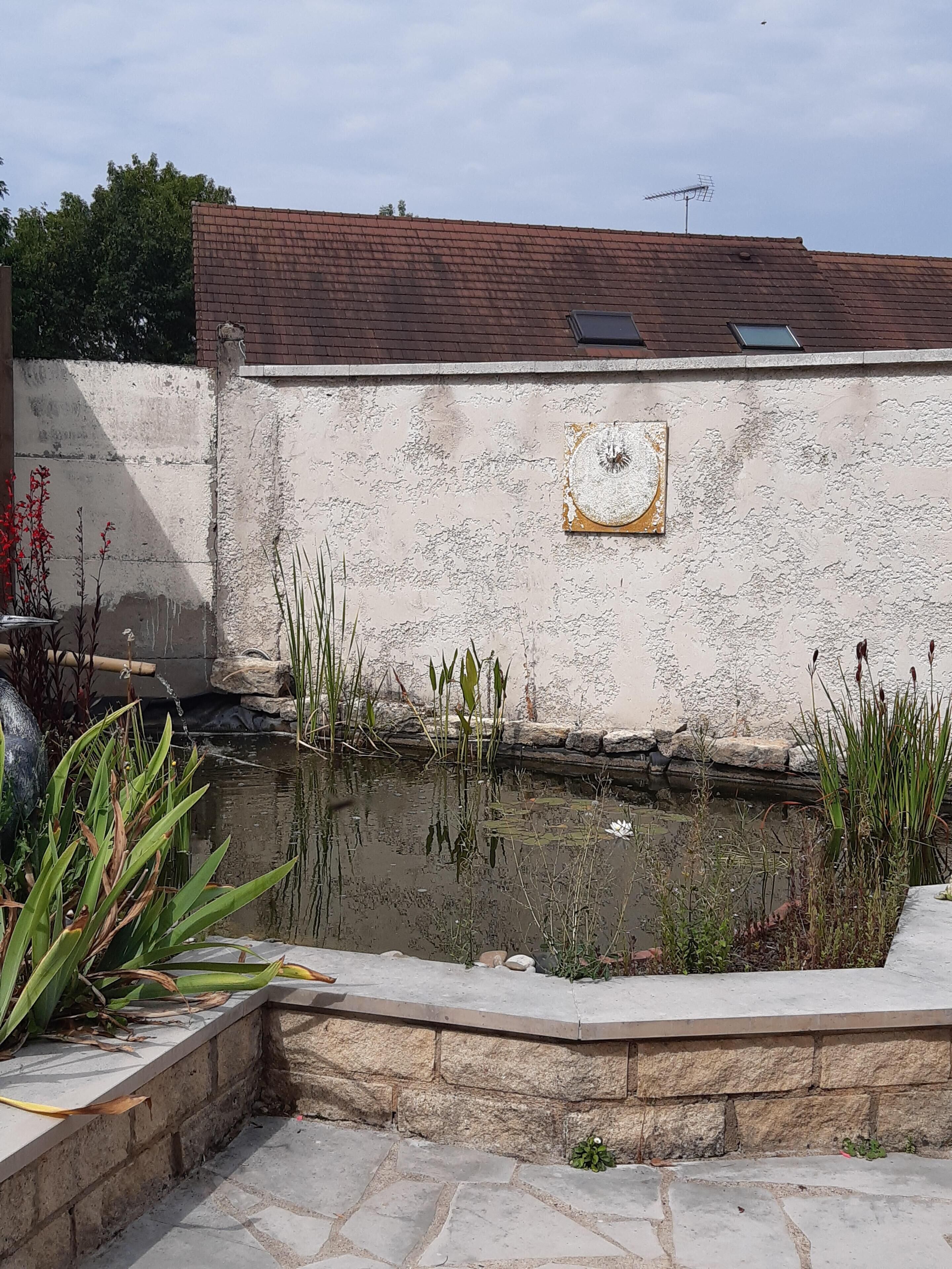 A stone wall with a small pond, surrounded by plants and a stone border.