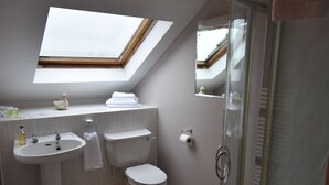 Un baño moderno con tragaluz, ducha con cerramiento de vidrio y lavamanos blanco.