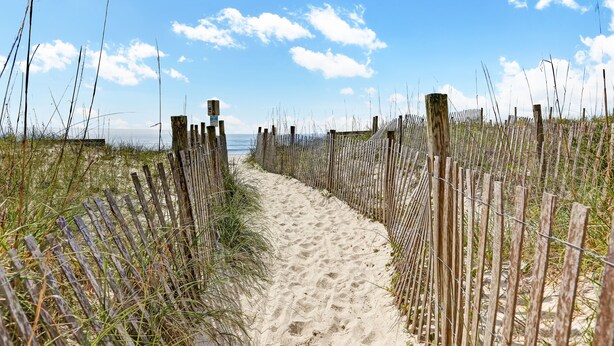 A sandy path flanked by wooden fences and tall grasses, leading to a beach. - Pecan Paradise: near Beach & Downtown! (Wilmington)