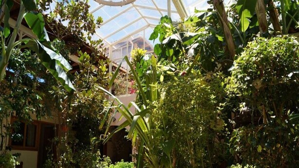 Une serre abritant diverses plantes et dotée d’une structure de toit en verre.