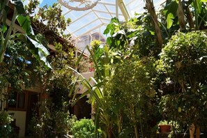 Uma estufa com diversas plantas e estrutura de teto de vidro.