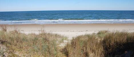 Playa en los alrededores 