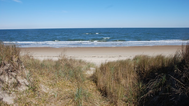 Ein Strand mit Sand und Gras im Vordergrund, das Meer im Hintergrund.