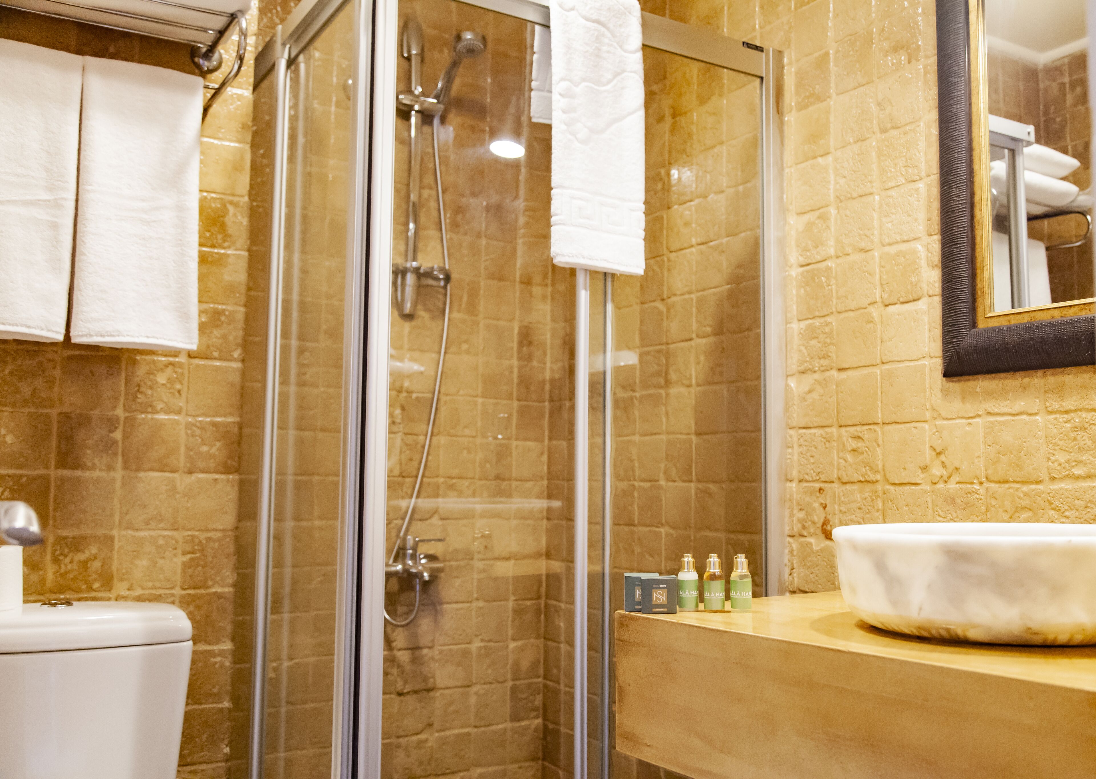 standard triple room | bathroom | shower, free toiletries, hair dryer, bathrobes