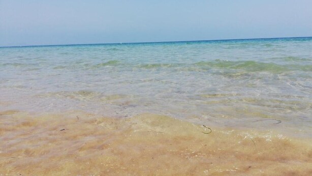 Une plage avec une eau claire et peu profonde et un rivage sablonneux.