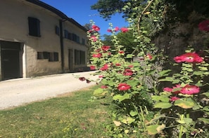 DĂ©tail de lâextĂ©rieur
