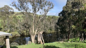 A serene riverside landscape with a grassy area and trees.