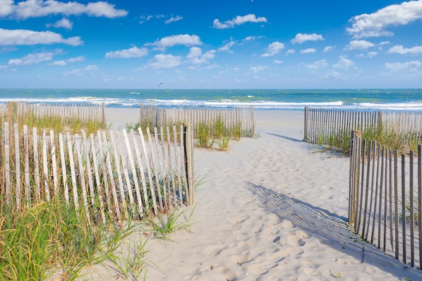 A sandy beach path with wooden fences and vegetation.