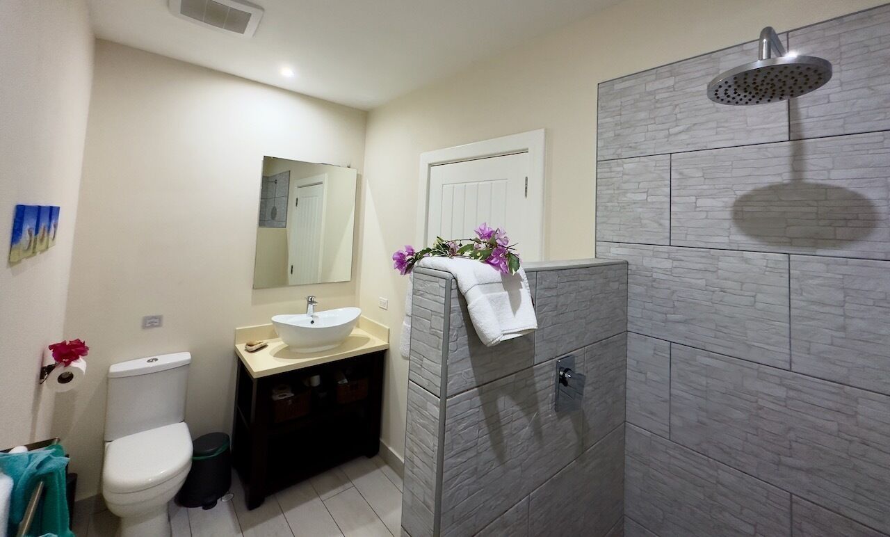 Sèche-cheveux, serviettes fournies, savon, shampoing