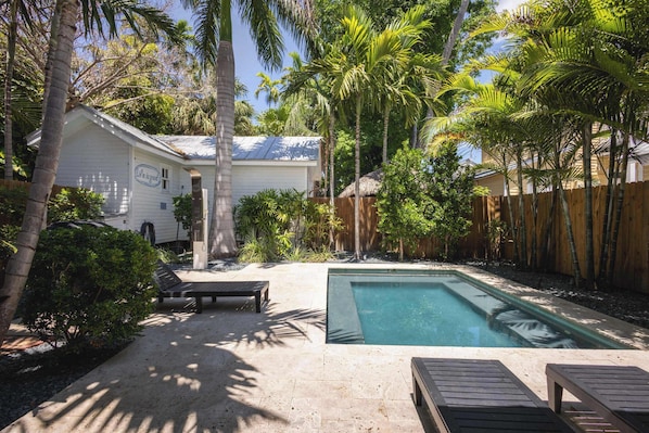 A backyard with a swimming pool, lounge chairs, and a wooden fence. - Coconut Palm - Steps from Duval with Private Pool (Key West)