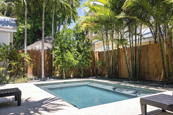 Pool - Coconut Palm - Steps from Duval with Private Pool (Key West)