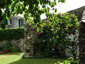 Un mur de pierre orné d’un rosier grimpant, une zone herbeuse et un bâtiment doté d’une fenêtre et de volets.
