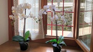 Apartment, 3 Bedrooms | Room amenity - Casa Beatrice (Premosello Chiovenda)
