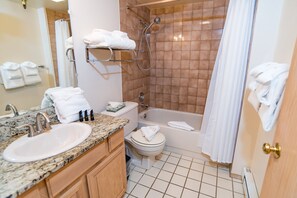 Tina con regadera y secadora de cabello 