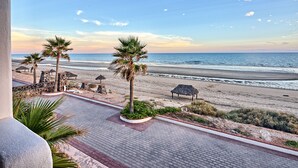 A beachfront view with palm trees, a beach, and a paved walkway.